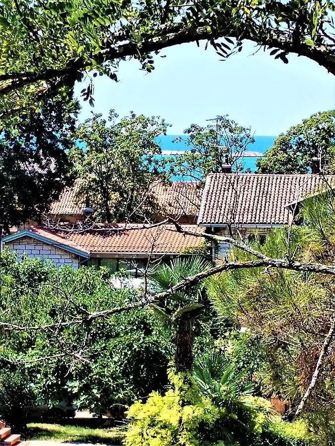 Apartman Iva Porec