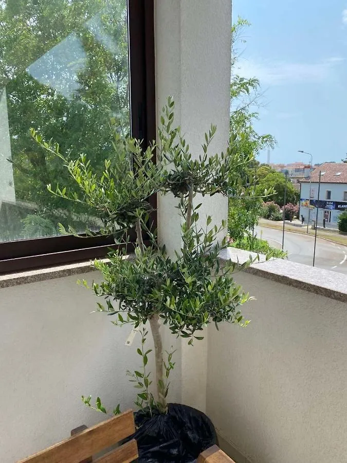 Apartment Apartman Iva Porec Croatia